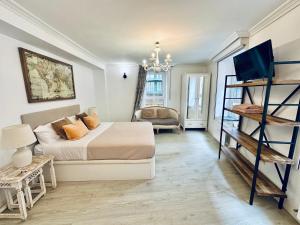 a bedroom with a bed and a tv in it at Mirador Catedral de Santiago in Bilbao