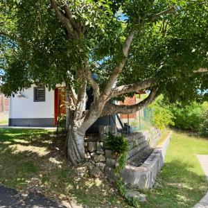 un albero davanti a una casa di KARUKERA - Les Villas KIKKO a Sèze