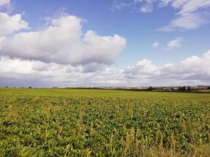 Afbeelding uit fotogalerij van Holiday home Stege XVIII in Stege