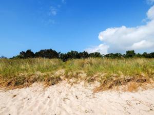 a field of tall grass next to a sandy beach at 8 person holiday home in Væggerløse in Marielyst