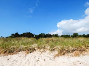 a field of tall grass next to a sandy beach at 10 person holiday home in Væggerløse-By Traum in Marielyst