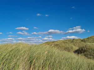 Fotografie z fotogalerie ubytování 8 person holiday home in Pandrup-By Traum v destinaci Pandrup