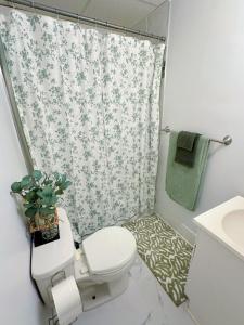 a bathroom with a toilet and a shower curtain at Cozy apartment Liverpool NY in Liverpool +25 photos