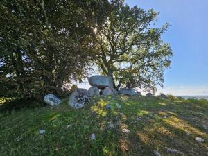 Foto de la galería de 6 person holiday home in Vordingborg-By Traum en Vordingborg 27 fotos más