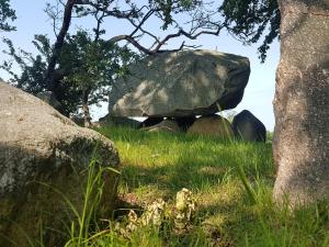 Foto de la galería de 6 person holiday home in Vordingborg-By Traum en Vordingborg