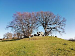 Foto de la galería de 6 person holiday home in Vordingborg-By Traum en Vordingborg