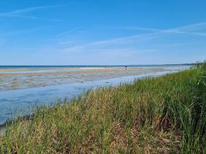 Allingåbroにある4 person holiday home in Allingåbro-By Traumの砂浜 +31枚の写真