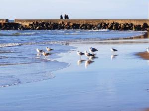 Gallery image of Central Oasis in Lokken - By Traum Ferienwohnungen in Løkken