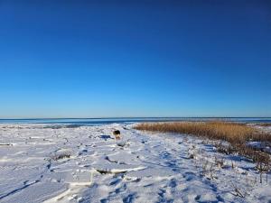 Imagen de la galería de 4 star holiday home in Ørsted-By Traum, en Ørsted