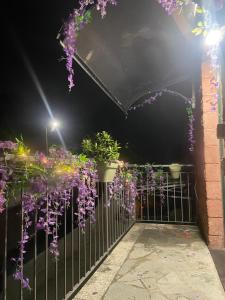 Fotografie z fotogalerie ubytování SABRINA MAISON CHIC AFFITTA CAMERE Camogli & Portofino v destinaci Camogli