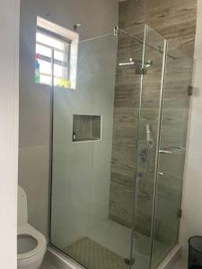 a bathroom with a glass shower with a toilet at Luxury 5 bedroom standalone with PS5, WiFi, gym in Lagos