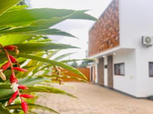 Gallery image of Luxury Urban Villa 3V in Kumasi +90 photos