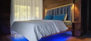 a bedroom with a large bed with blue pillows at The Bridge Viwe Cabin in Norton Bridge