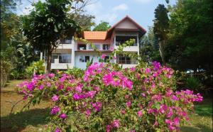 Taman di luar Oasis Koh Mak Island