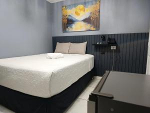 ein Schlafzimmer mit einem Bett und einem Gemälde an der Wand in der Unterkunft Kartagus B&B in San Salvador
