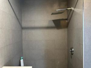 a bathroom with a shower and a toilet at Bright & Airy 1 BDRM Private Apt in Albany