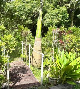 einen Holzsteg in einem Garten mit einem Baum in der Unterkunft Paradis Créole à Bellevue Sainte-Rose in Sainte-Rose