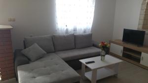 Televízia a/alebo spoločenská miestnosť v ubytovaní Apartments and room Suza