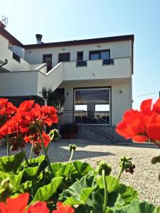 una casa con flores rojas delante de ella en Rooms Edda en Umag