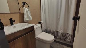 a bathroom with a toilet and a sink and a shower at Oceana Suites El Rosario, Coquimbo in Coquimbo