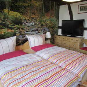 1 Schlafzimmer mit 2 Betten und einem Flachbild-TV in der Unterkunft Eifel Quartier Ferienhaus in Mechernich
