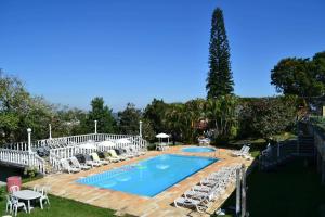 a large swimming pool with lounge chairs and a tree at Pousada Aconchego de Minas in Juiz de Fora