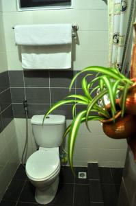 a bathroom with a toilet and a plant at Borneo Nature Lodge in Sukau