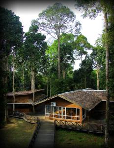 a house in the middle of a forest at Borneo Nature Lodge in Sukau