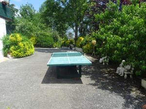 Stolní tenis v ubytování Casa Rural Arratzain nebo okolí