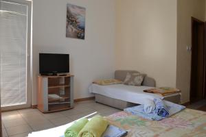 a living room with a couch and a tv at Apartments Elizabet in Star Dojran