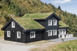 a black house with a grass roof at Modern Family Cabin Near Vinterland Ski Resort in Lifjell