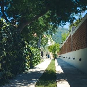 布德瓦的住宿－Jaz Garden Residence，一条在建筑物一侧有树木的街道