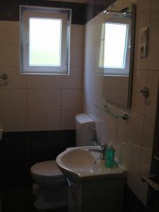 a bathroom with a toilet and a sink and a window at Apartments Ajka in Tisno