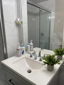 a bathroom with a sink and a mirror at Central Vally Private House in Abbotsford +14 photos