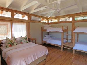 Un dormitorio con dos literas y ventanas. en Aloha 16, en Ponta Mamoli