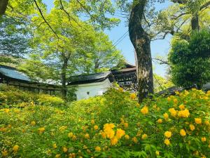 a garden with yellow flowers in front of a building at Mulan Stay 松尾大社 in Kyoto