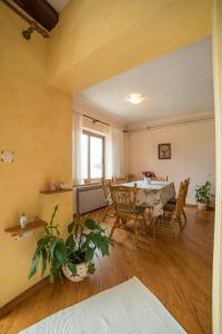 Gallery image of Apartment Anica in Rab