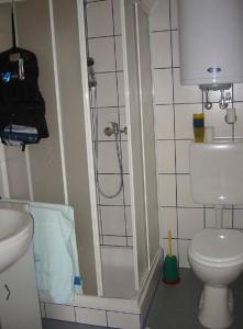 a small bathroom with a shower and a toilet at Ferienhaus Beme in Spielberg