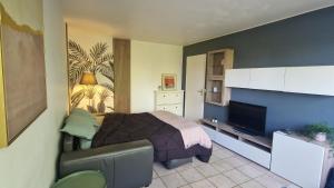 a bedroom with a bed and a television in it at Prenepla in Ornex