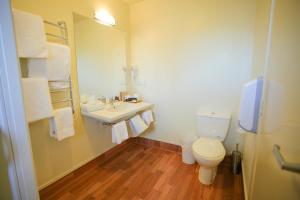 a bathroom with a toilet and a sink and a mirror at Abbots Hamilton – Hotel and Conference Centre in Hamilton