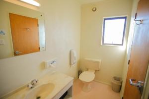 a bathroom with a toilet and a sink and a mirror at Abbots Hamilton – Hotel and Conference Centre in Hamilton