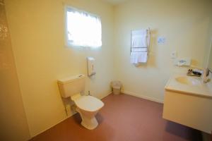 a bathroom with a toilet and a sink at Abbots Hamilton – Hotel and Conference Centre in Hamilton