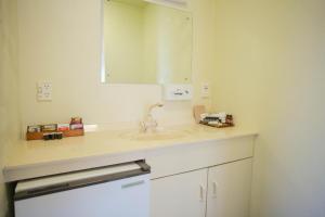 a bathroom counter with a sink and a mirror at Abbots Hamilton – Hotel and Conference Centre in Hamilton