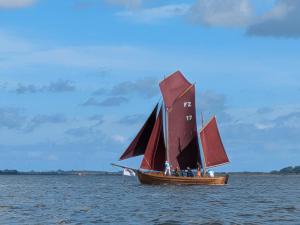 Naturlandskabet i nærheden af lejligheden