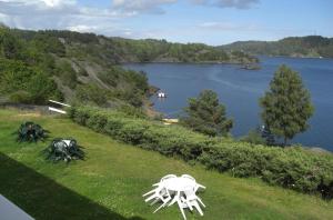 a sculpture of a spider on the grass near a lake at Sjøverstø Holiday in Tvedestrand