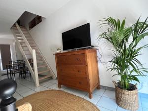 a living room with a television on a dresser with two plants at Bel appartement T2 avec jardin indépendant in Pérols