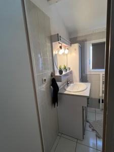 a bathroom with a sink and a mirror at Bel appartement T2 avec jardin indépendant in Pérols +18 photos