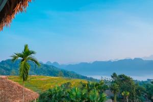 a palm tree on a hill with mountains in the background at Pu Luong EcoLuxe Resort & Spa in Lũng Tiềm +9 photos