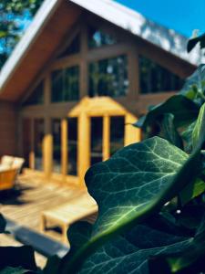 a large green leaf in front of a house at Pomale Vendégház in Révfülöp
