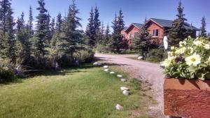 Zahrada ubytování Denali's Alaskan Spruce Cabins